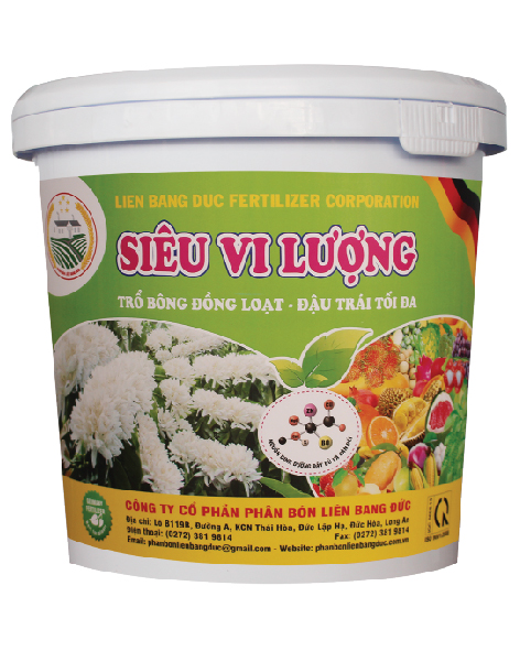 SIÊU VI LƯỢNG